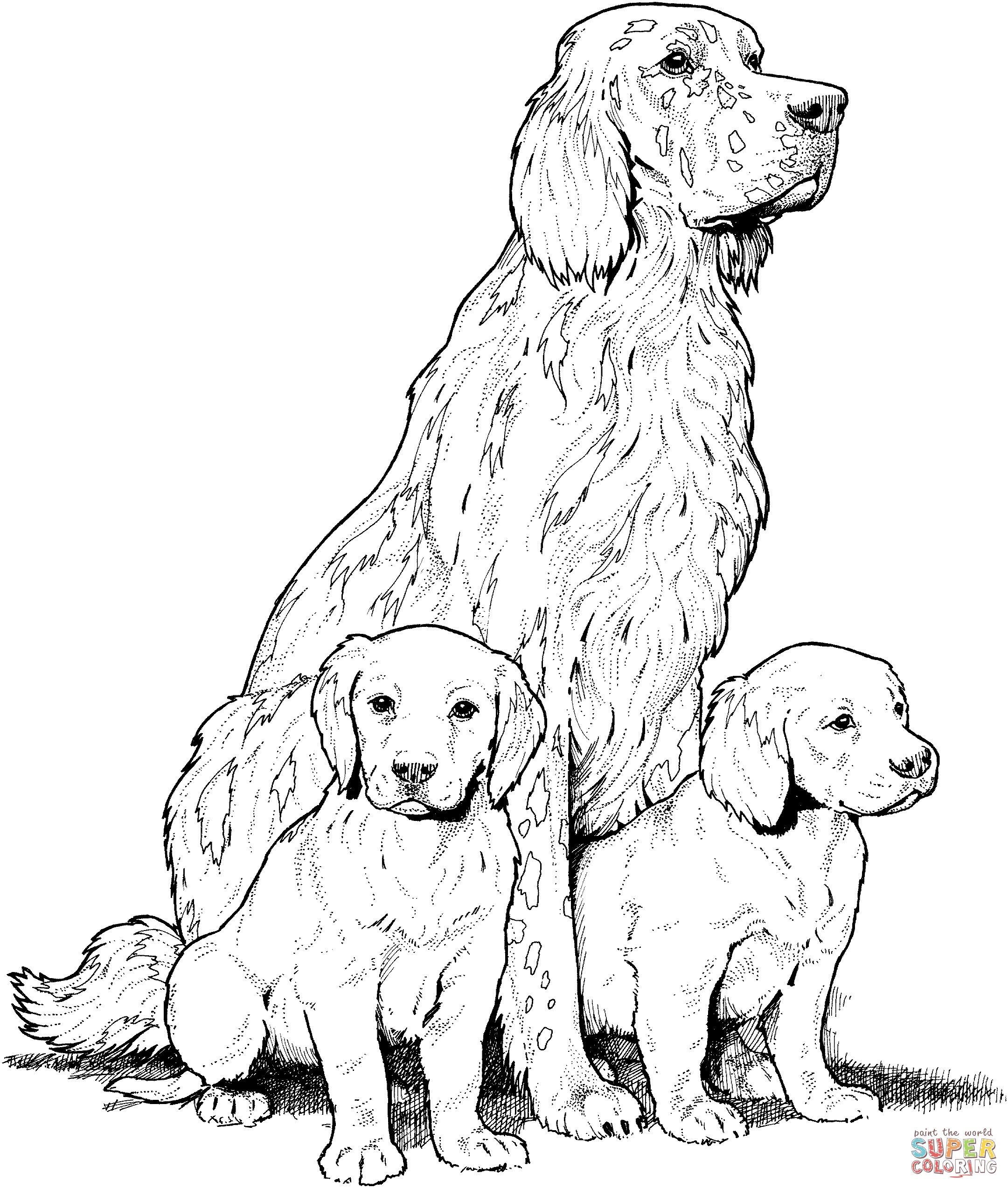 Yellow Lab Puppy Coloring Pages - BubaKids.com