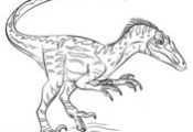 Dinosaurs Coloring pages. Select from 24661 printable Coloring pages of cartoons...