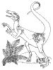 Dinosaurs and Extinct Animals Coloring Pages + Info