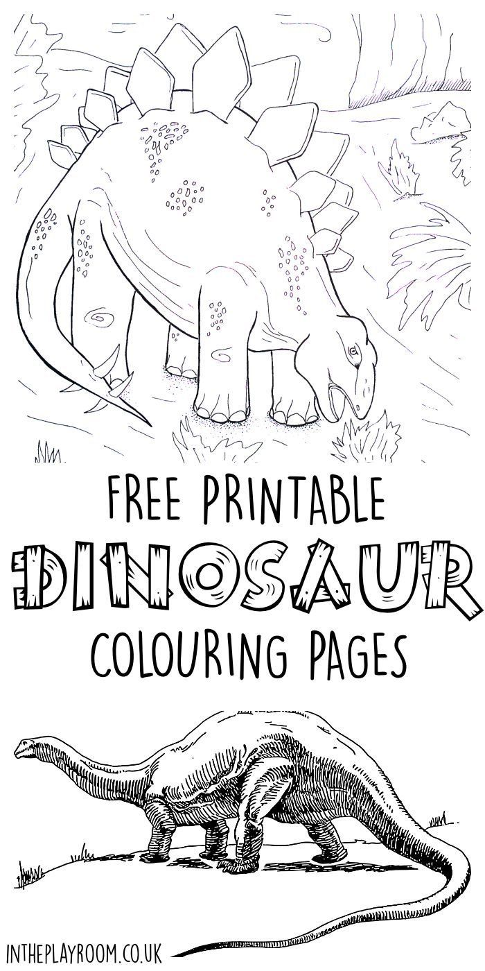 Set of 5 free printable dinosaur colouring pages featuring realistic dinosaurs a…