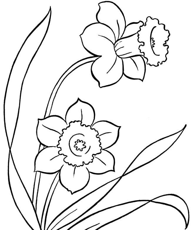 Spring Flowers Colouring Pages To Print – Spring day cartoon coloring pages