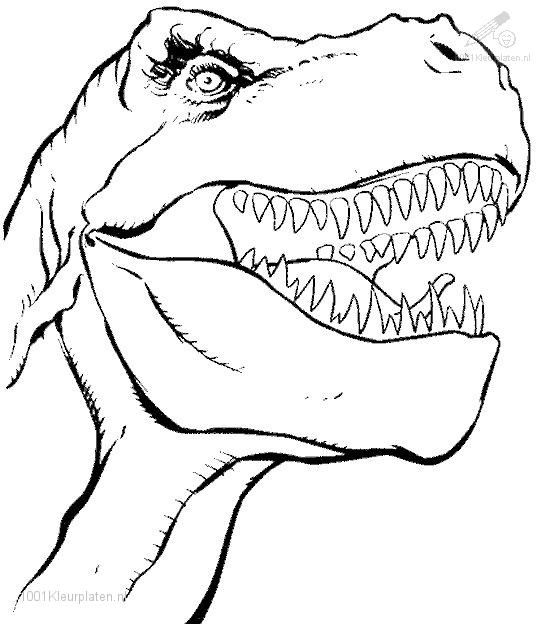 free coloring dinosaur pages | … : Animals >> Dinosaurs >> Prehistoric Dinosau… Wallpaper