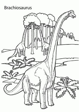 Brachiosaurus realistic dinosaurs coloring pages for kids, printable free Wallpaper