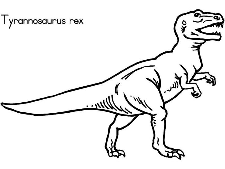 Coloring pages dinosaurs kids activities Wallpaper