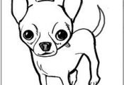 Free Treasure Coloring Pages | Captaain Cartoon Pet Coloring Page - Pit Bull