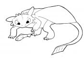 How to train your dragon coloring page - trendingideas.com... - #How-To-Train-Yo...