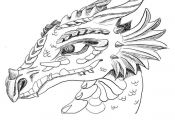 How-to-train-your-dragon-coloring-pages-all-dragon by warrior ...