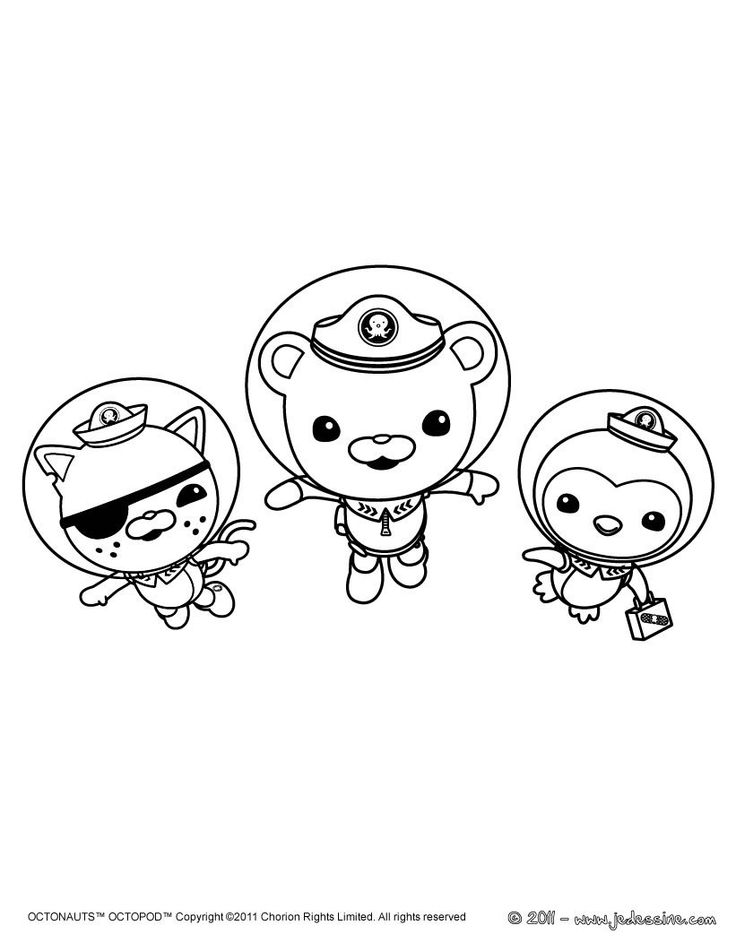 Octonauts Kwazii Coloring Pages Wallpaper