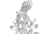 Peacock, : A Beautiful Peacock with His Long Train Coloring Page
