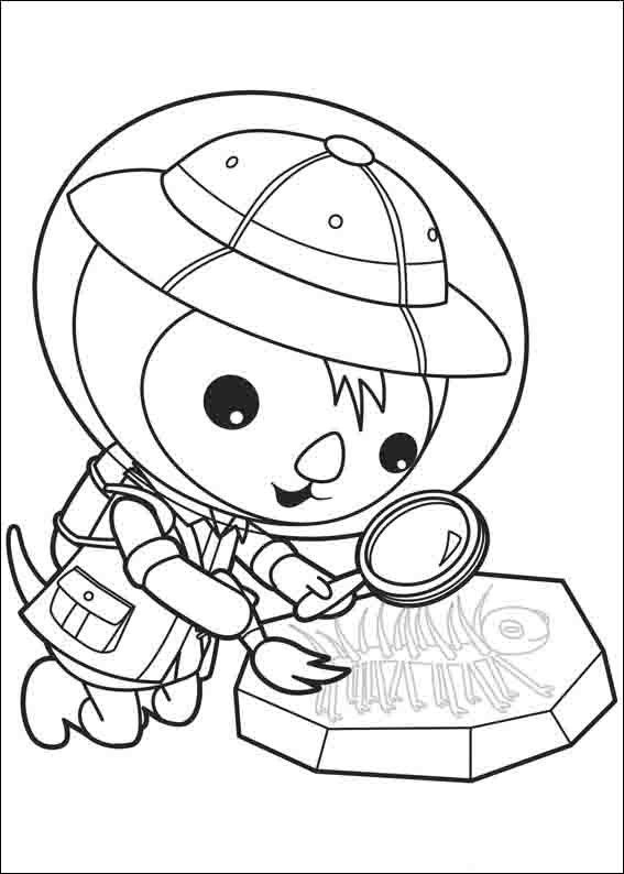 The Octonauts Coloring Pages 1 Wallpaper