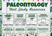This bundle provides valuable resources to use to supplement your Paleontology o...