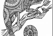 Adult Coloring Pages Animals Adult Coloring Pages Animals