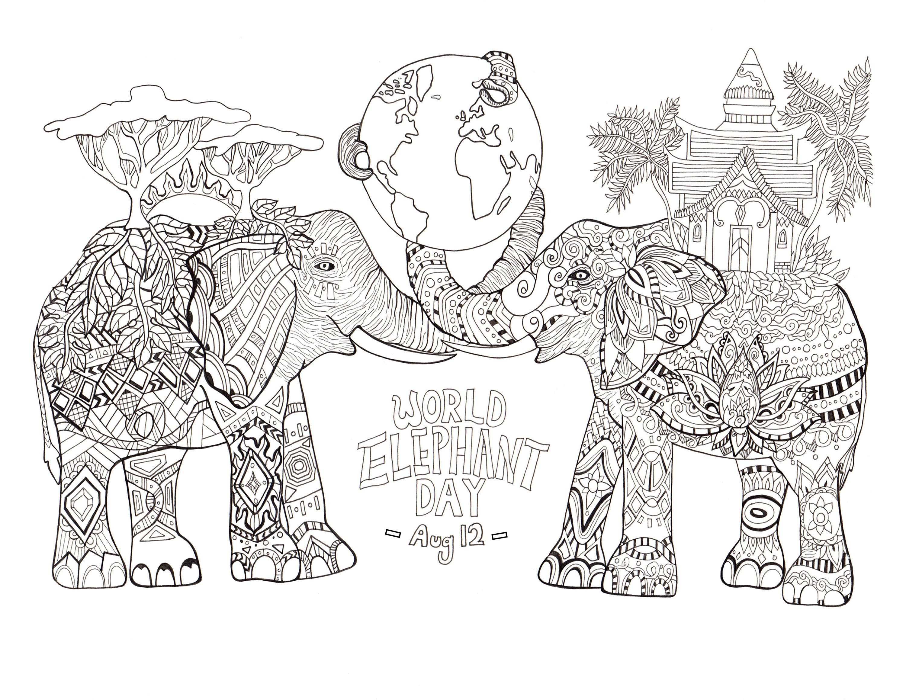 Adult Coloring Pages Elephant Wallpaper