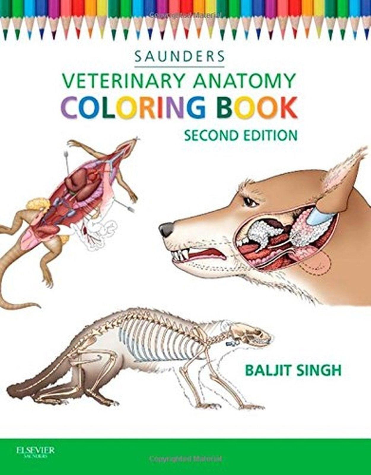 Animal Anatomy Coloring Book Wallpaper