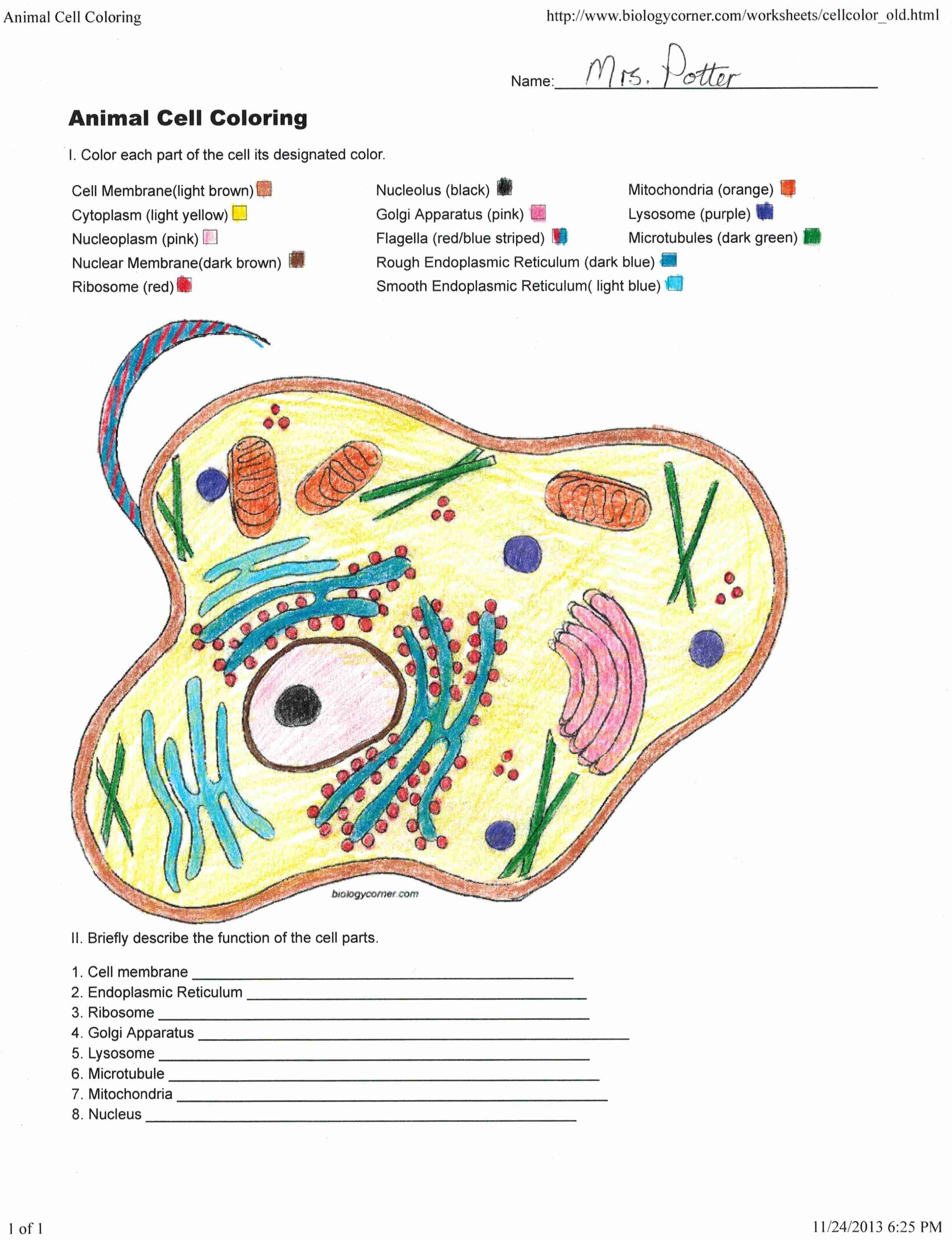 Animal Cell Coloring Answers