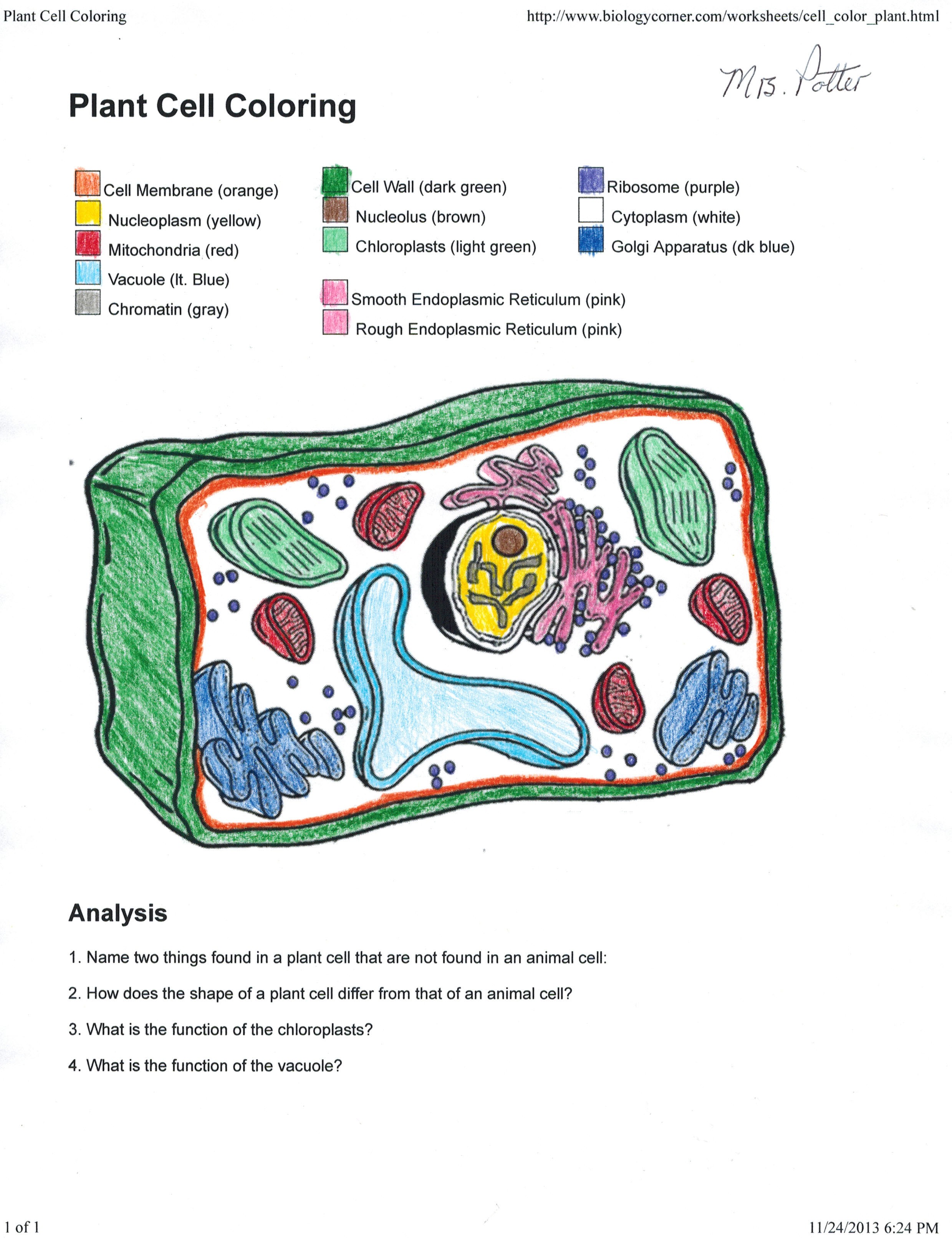 Animal Cell Coloring Page Answers