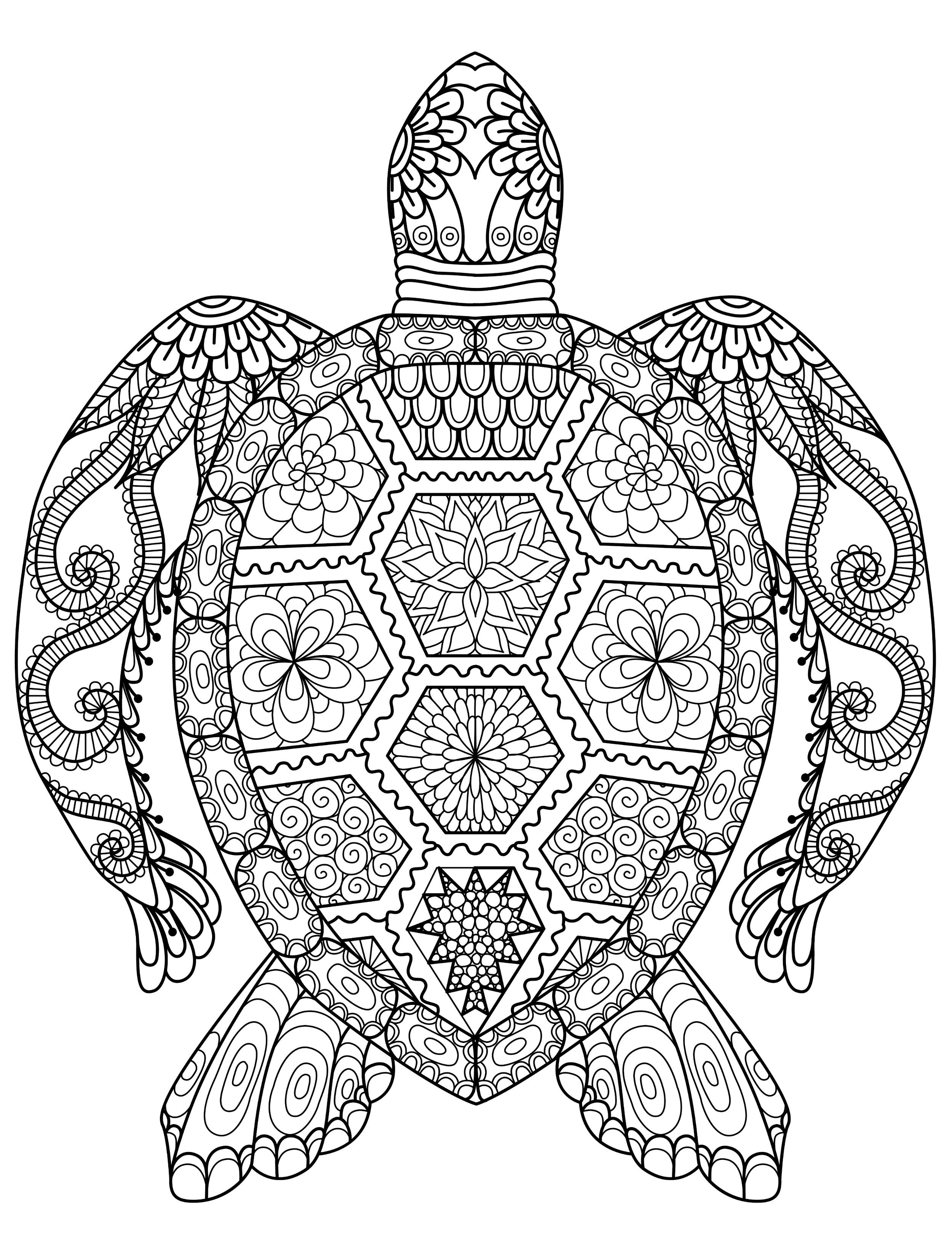 Animal Coloring Books for Adults Wallpaper