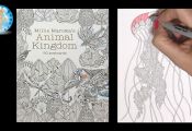 Animal Kingdom Coloring Book Animal Kingdom Coloring Book