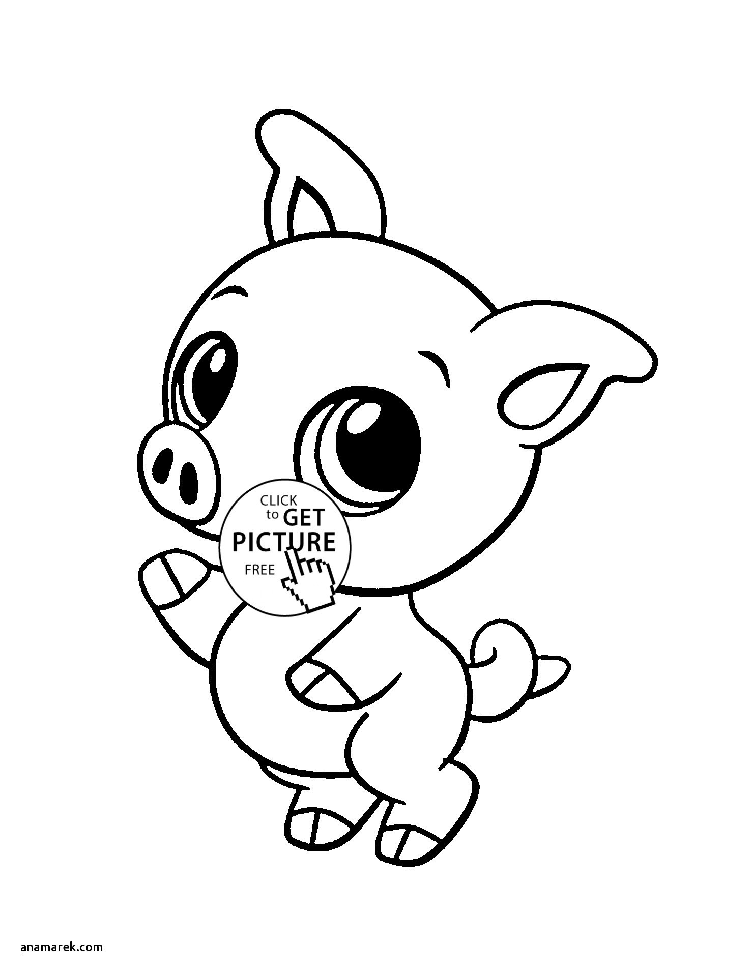 Baby Animal Coloring Book Pages