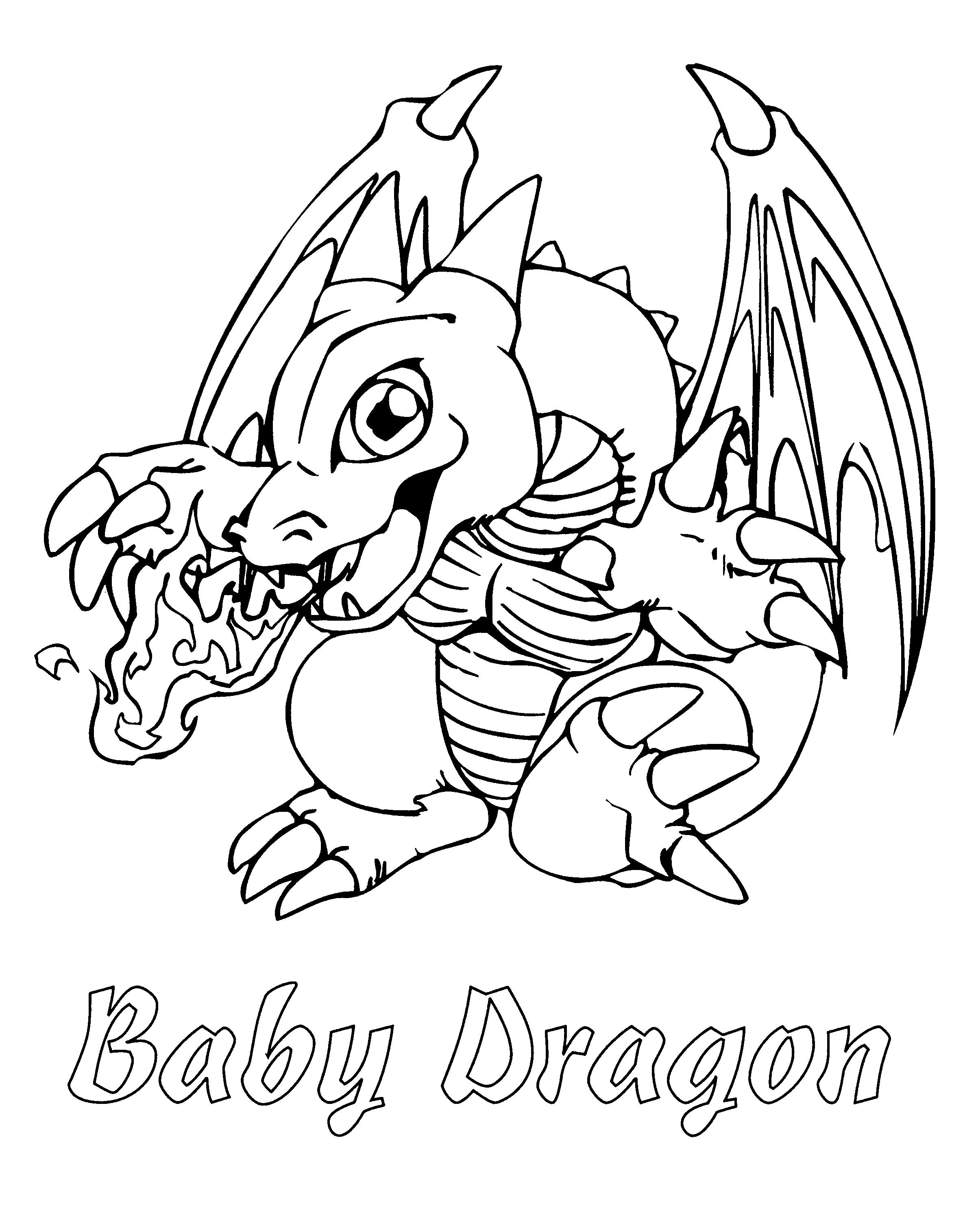 Baby Dragon Coloring Pages Wallpaper