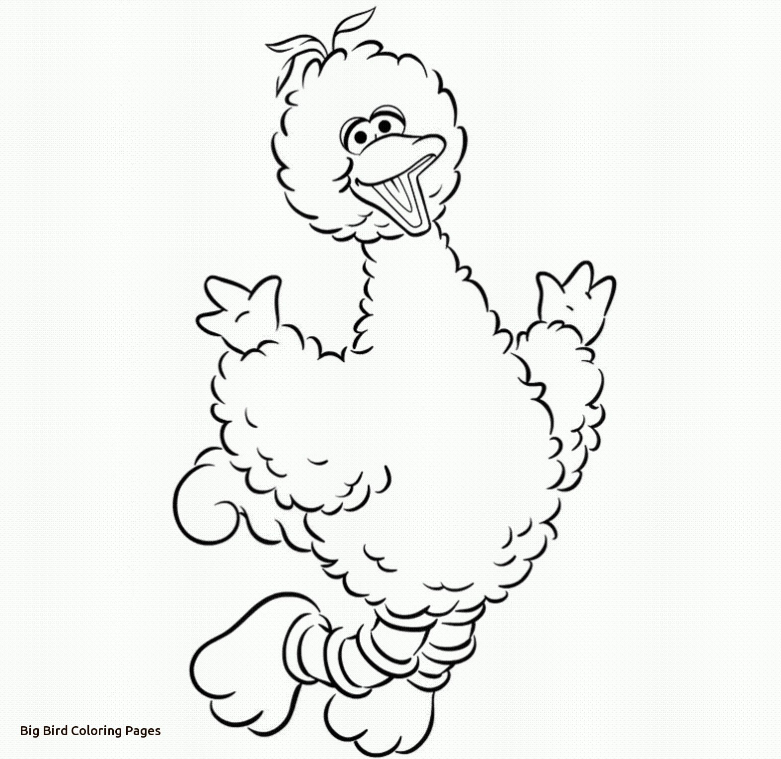 Big Bird Coloring Pages