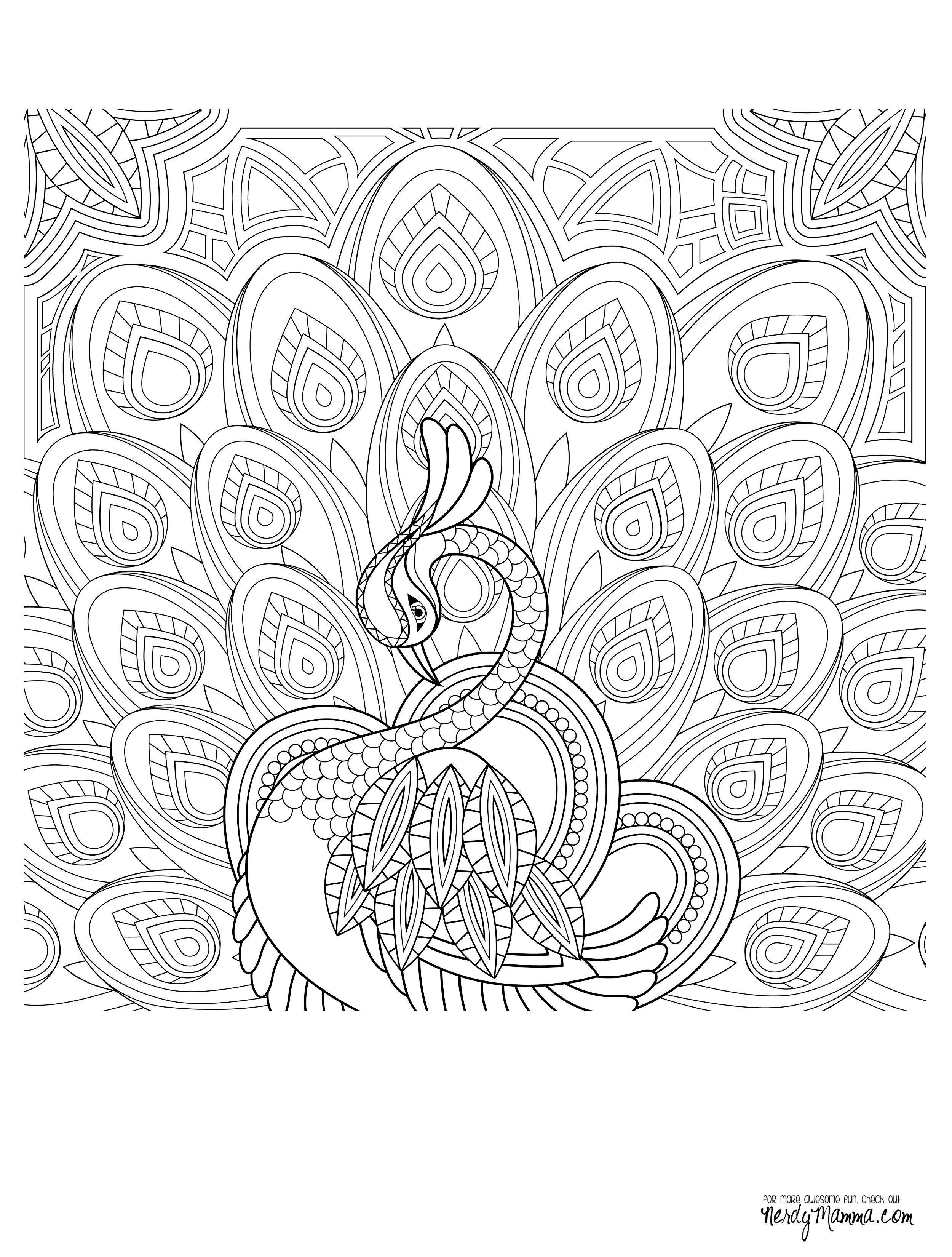 butterfly Coloring Page