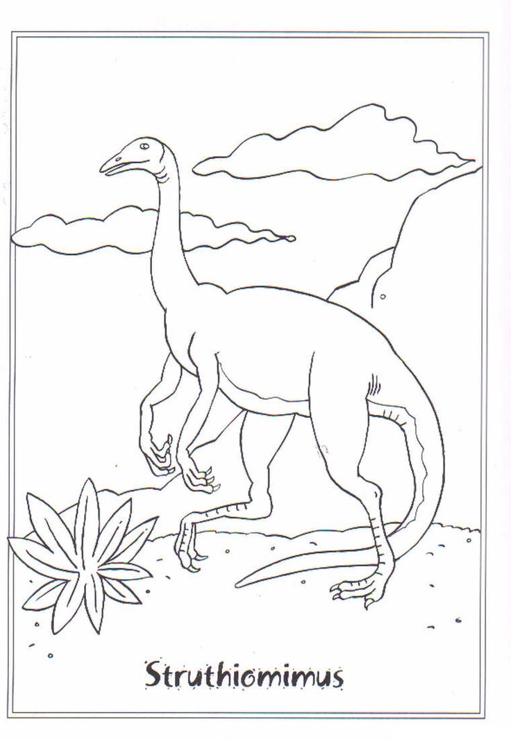 coloring page Dinosaurs 2 – Struthiomimis