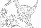 coloring page Dinosaurs 2 - Velociraptor