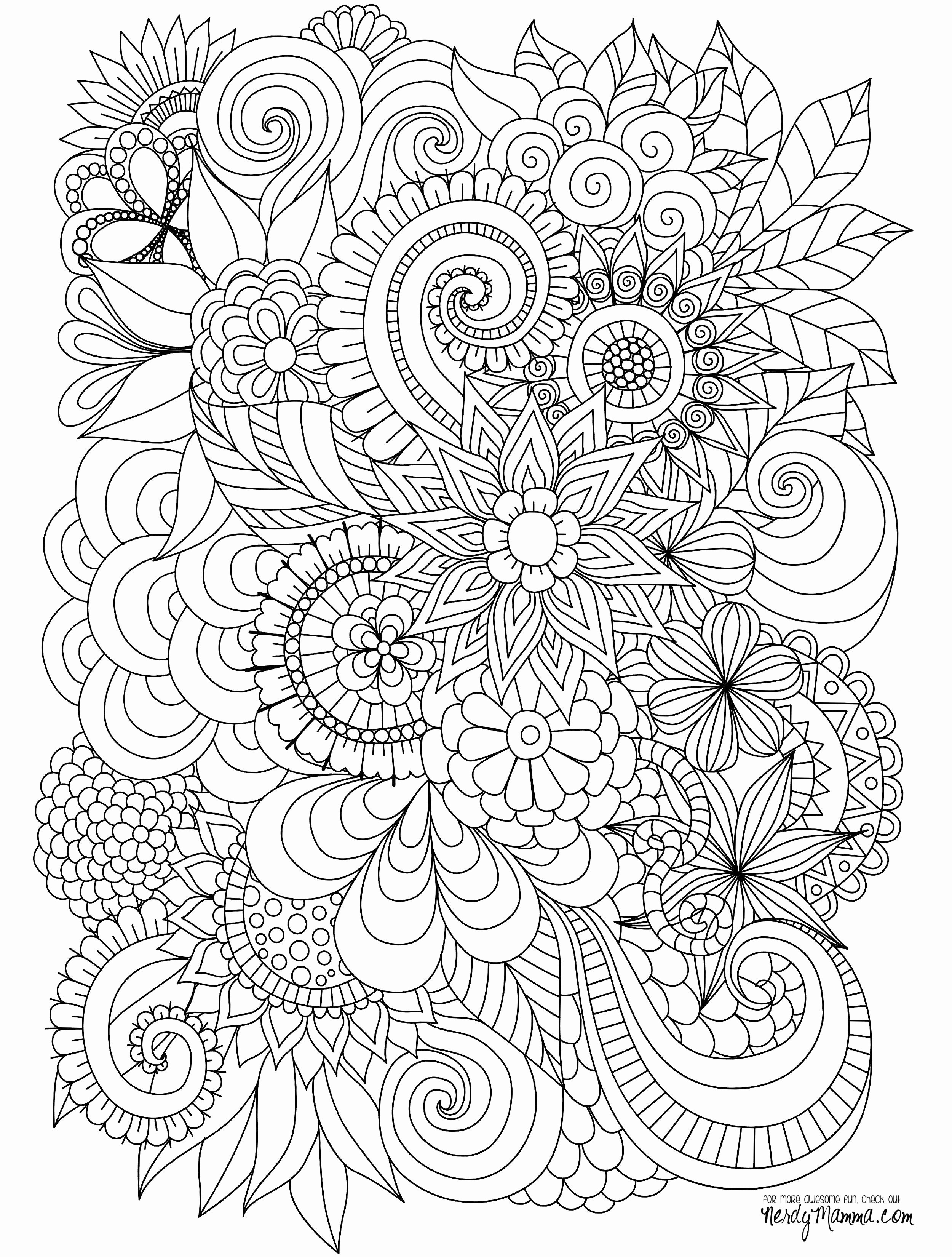 Coloring Page Turkey Wallpaper