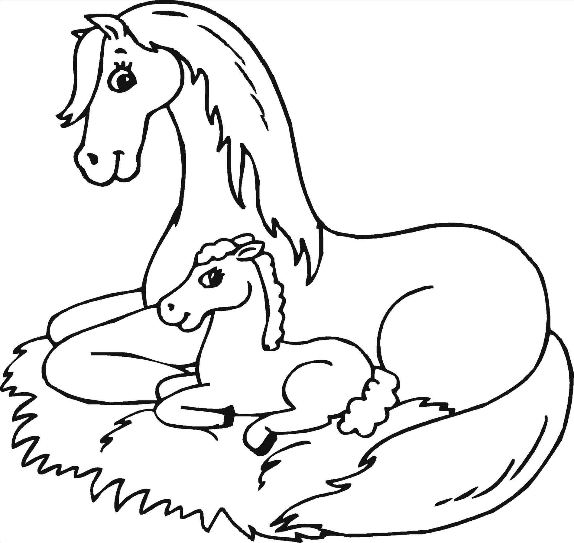 Coloring Pages Of Baby Horses Wallpaper