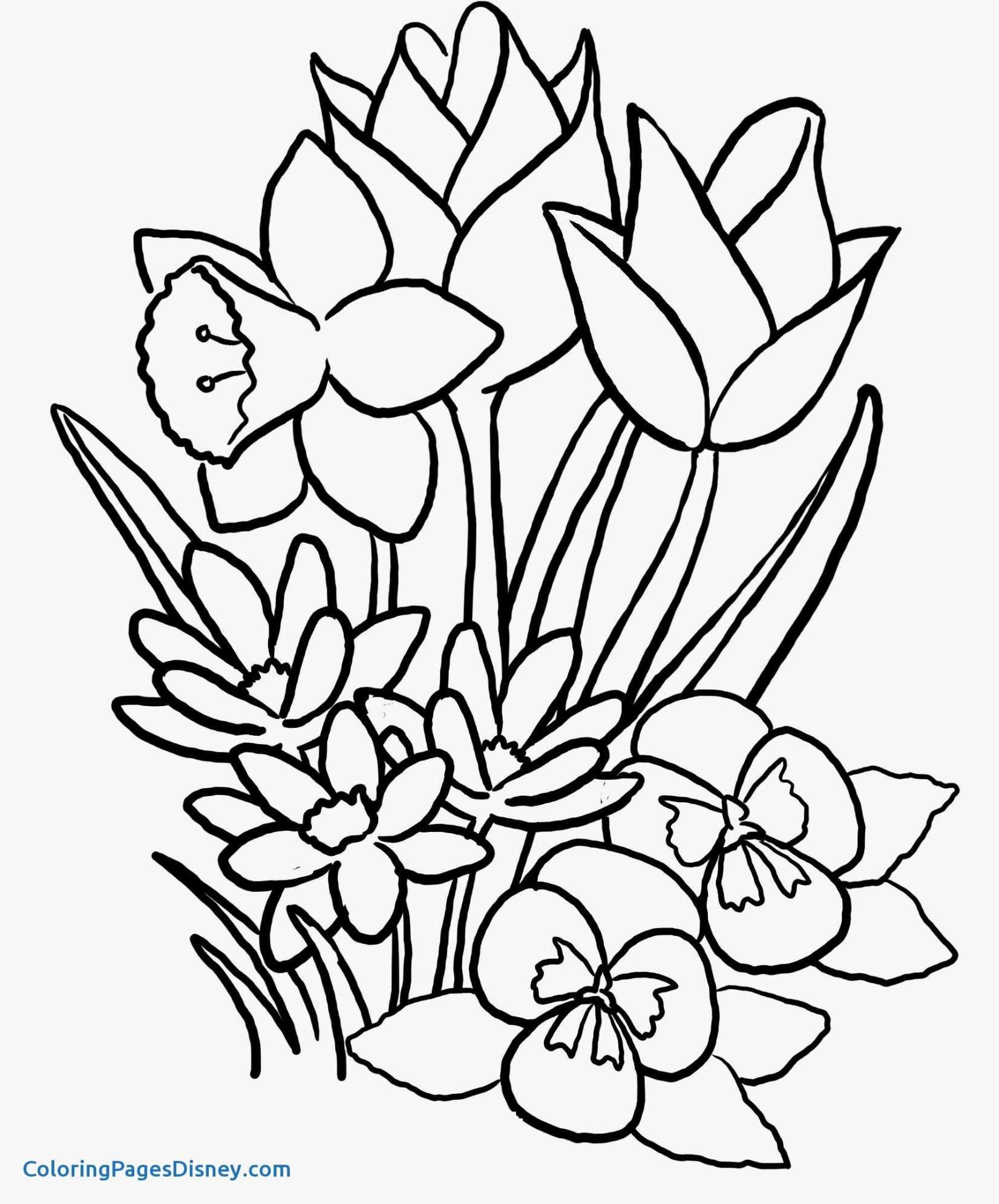Coloring Pages Of Flowers and butterflies Wallpaper