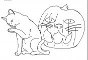Coloring Pages Of Halloween Cats Coloring Pages Of Halloween Cats