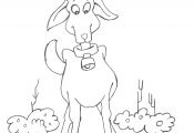 Coloring Pages Of Stuffed Animals Coloring Pages Of Stuffed Animals