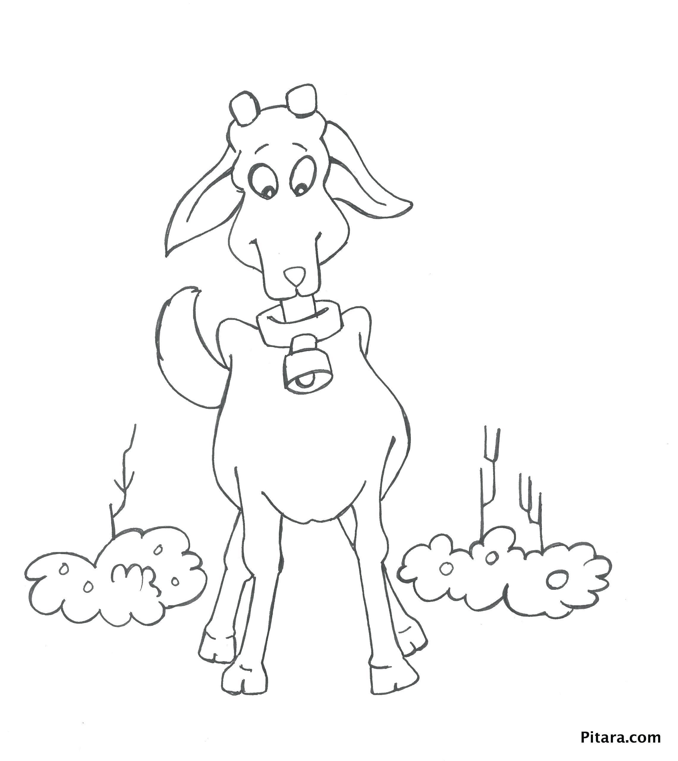 Coloring Pages Of Stuffed Animals Wallpaper