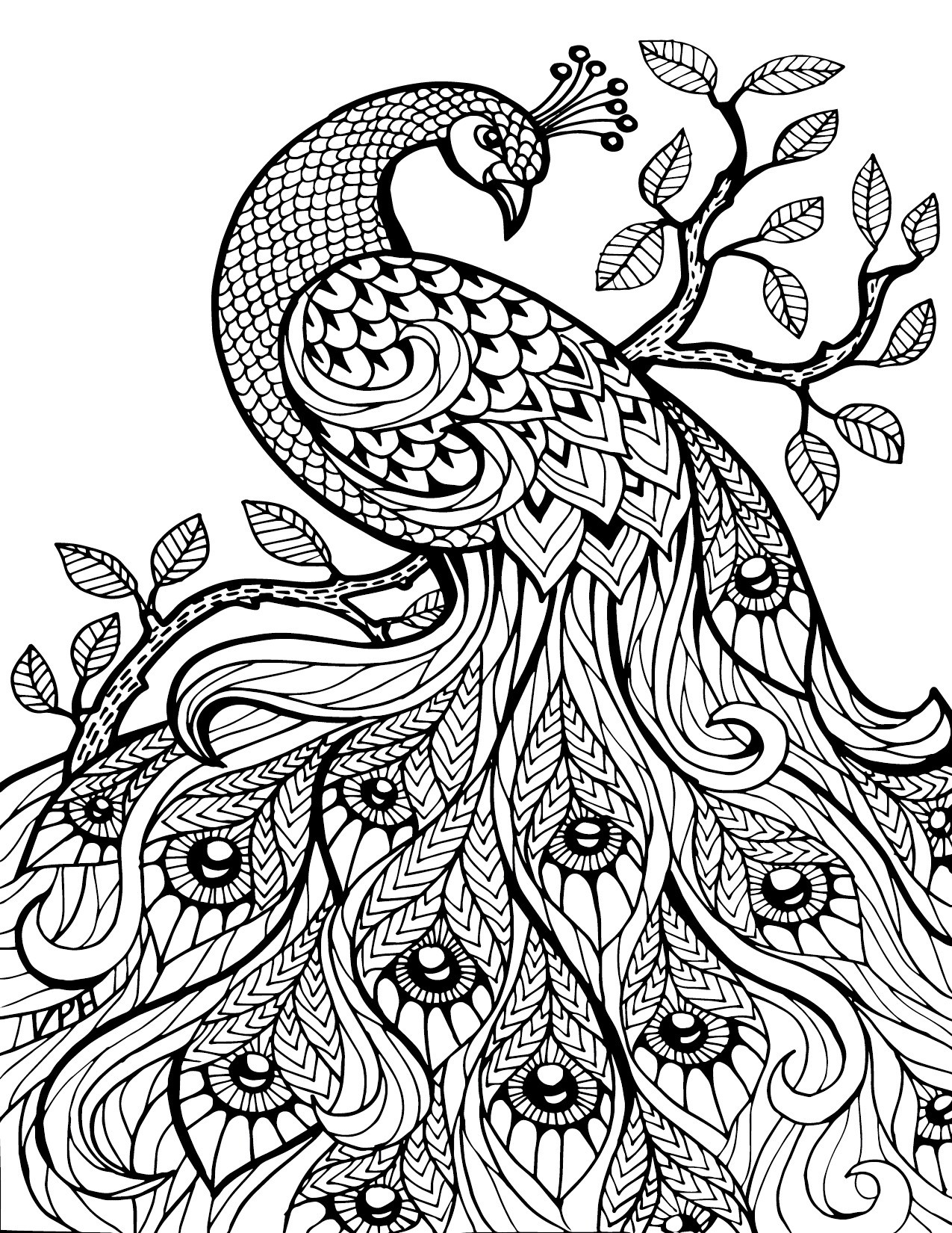 Coloring Pages Patterns Animals