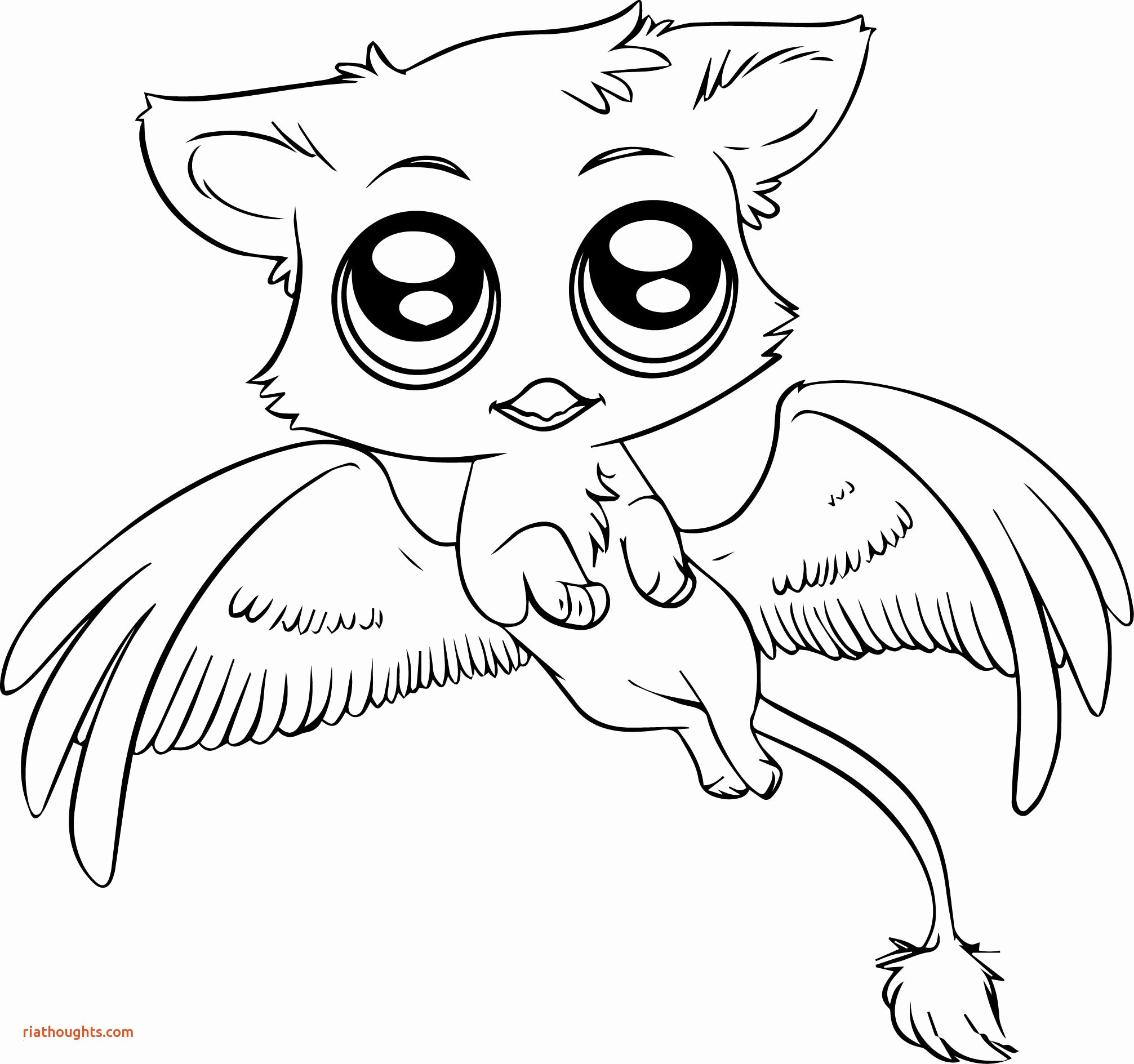 Cute Baby Animal Coloring Pages Wallpaper