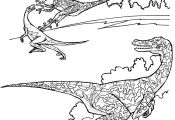 Dinosaur Coloring Pages Raptor Dinosaur Coloring Pages Raptor