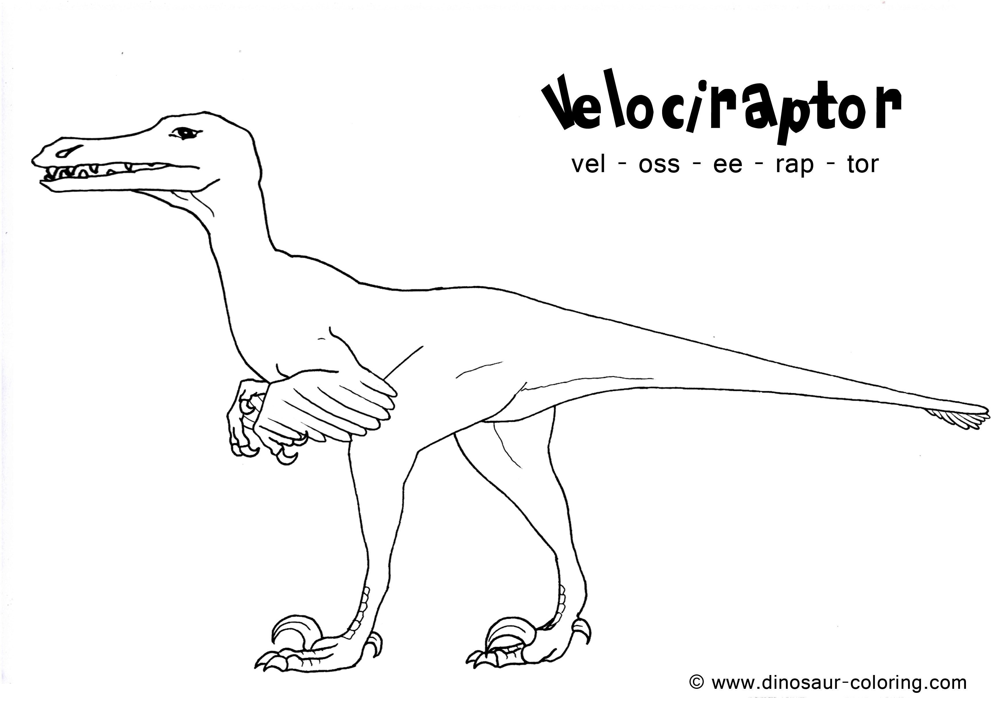 Dinosaur Coloring Pages Velociraptor Wallpaper