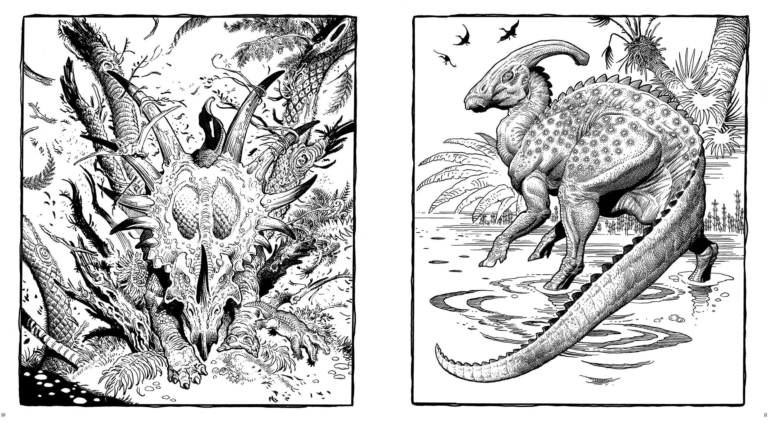 Dinosaurs A Coloring Book by William Stout Wallpaper