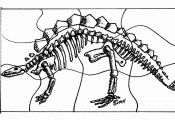 Dinosaurs Fossils Coloring Pages Dinosaurs Fossils Coloring Pages
