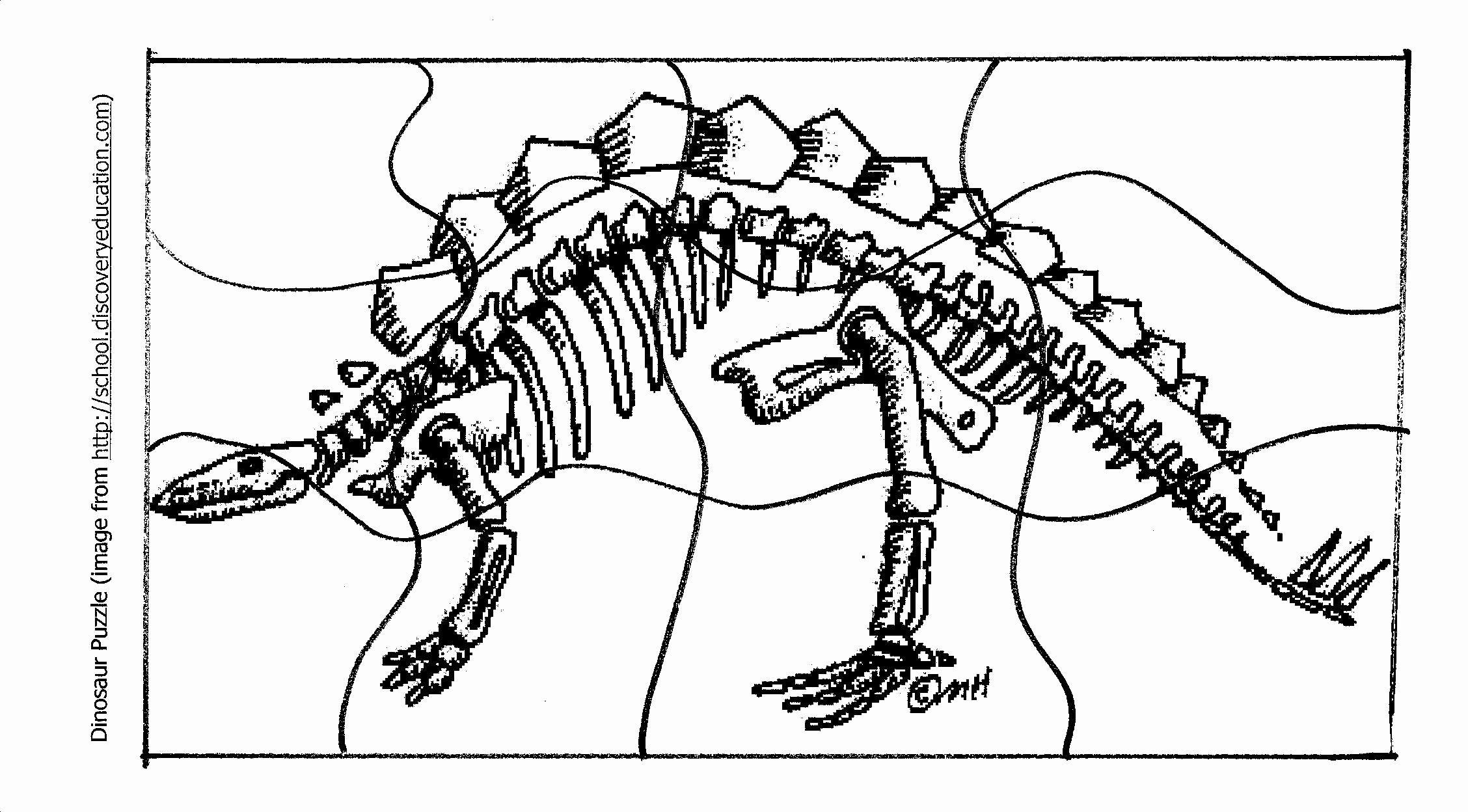 Dinosaurs Fossils Coloring Pages Wallpaper