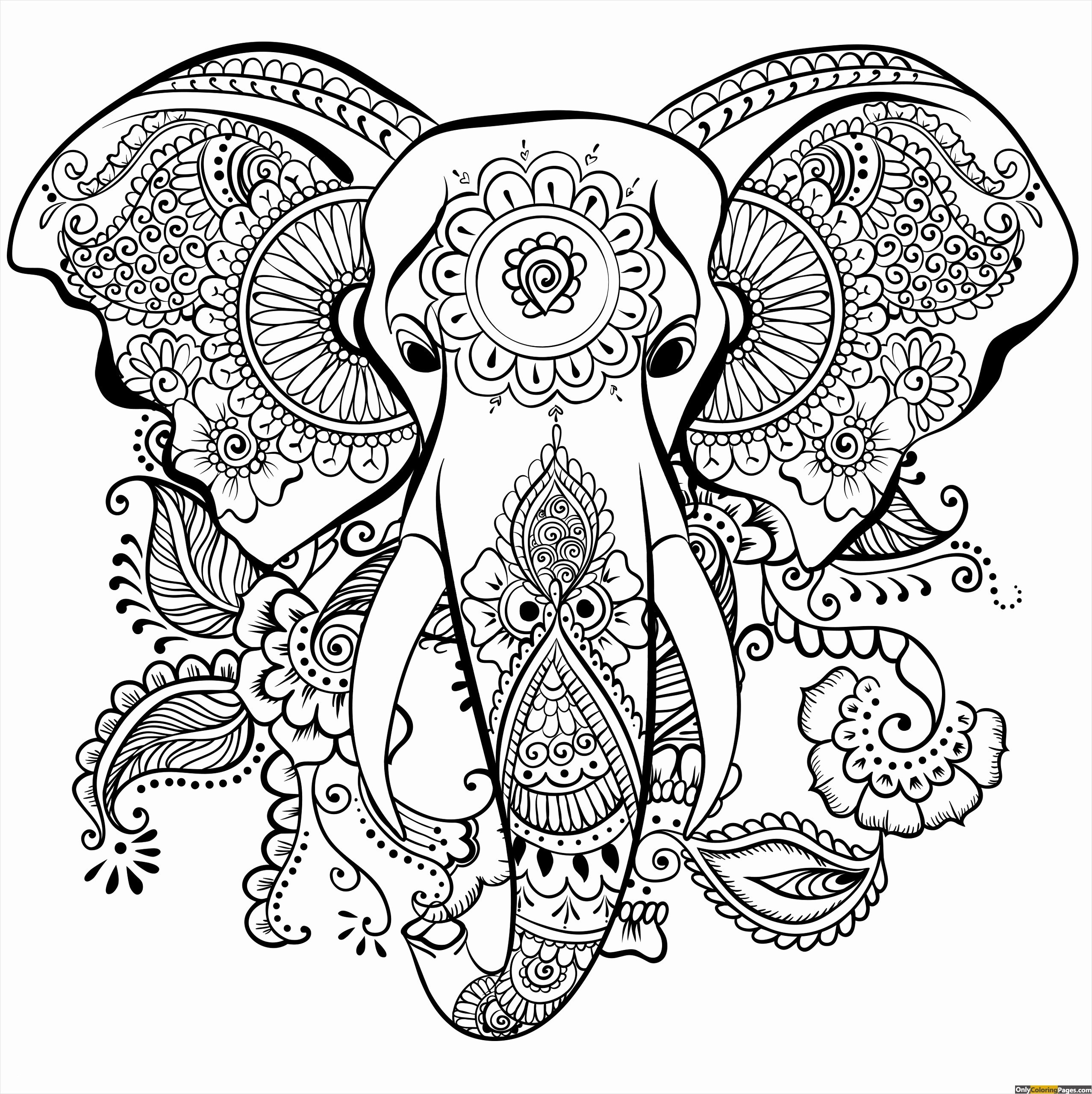 Elephant Mandala Coloring Pages Wallpaper