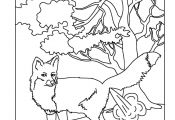 Farting Animals Coloring Book Farting Animals Coloring Book