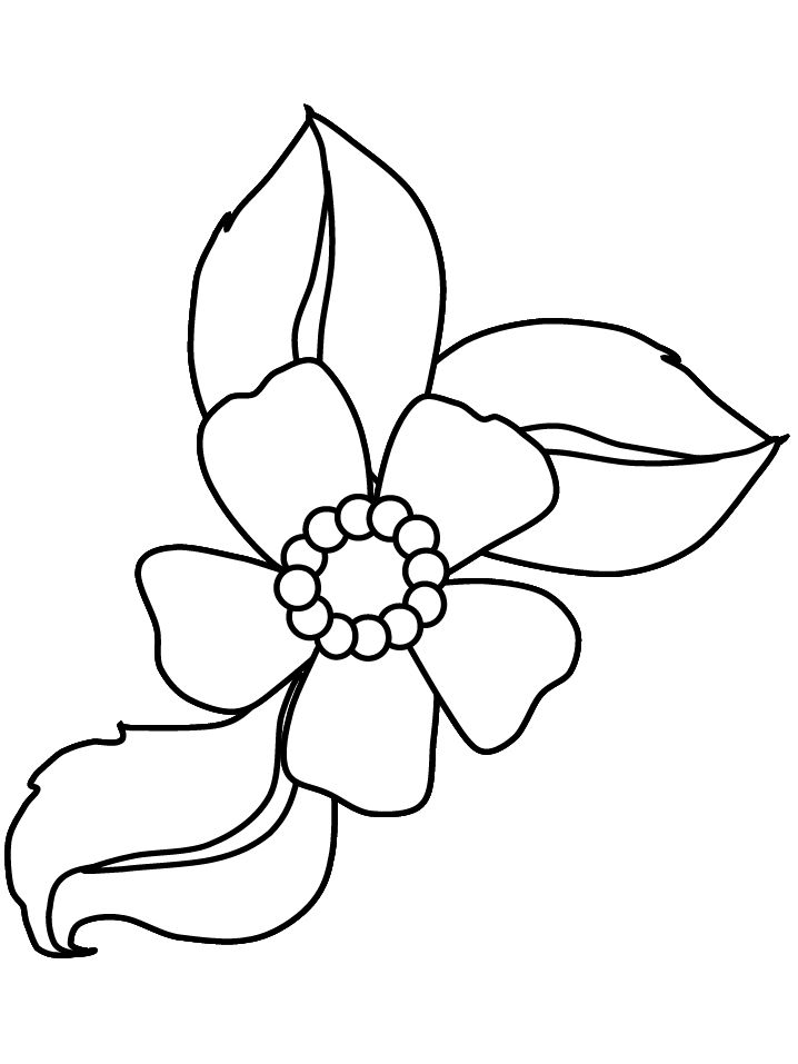 flowers coloring pages | flower coloring pages download hq cartoon flower colori… Wallpaper