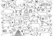 Forest Animal Coloring Pages Printable forest Animal Coloring Pages Printable