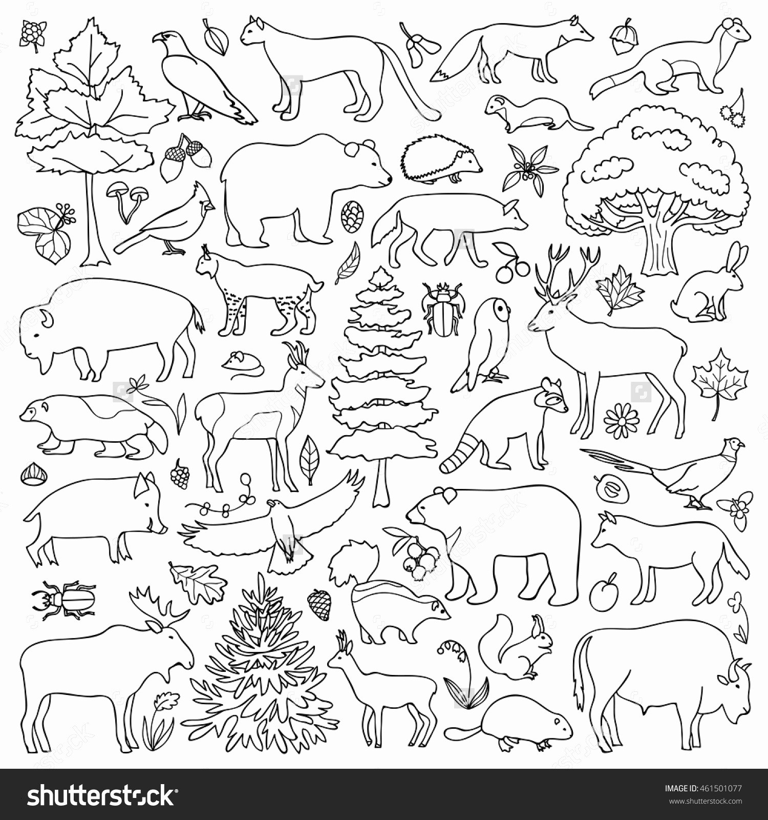 forest Animal Coloring Pages Printable