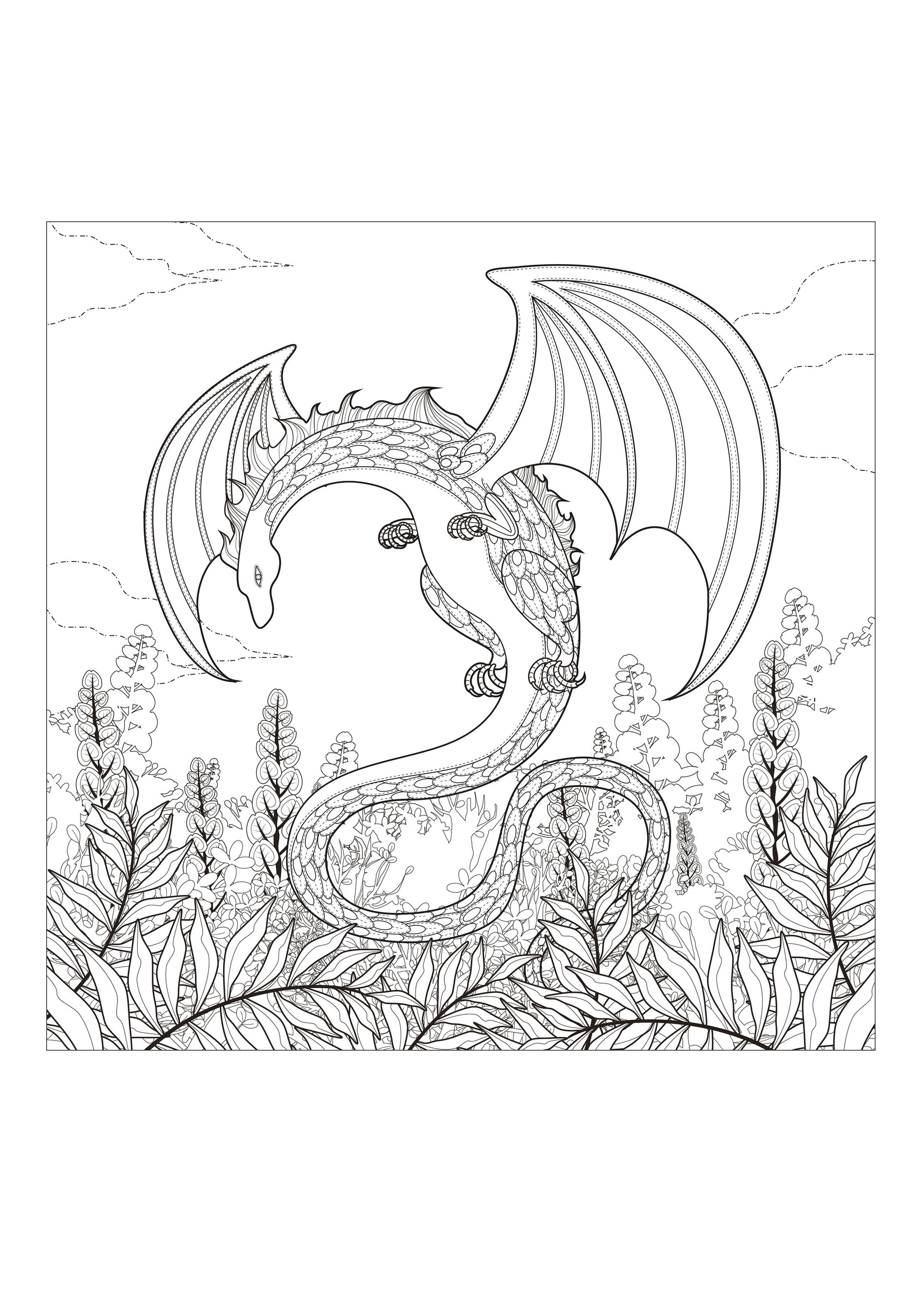 Free Dragon Coloring Pages Wallpaper