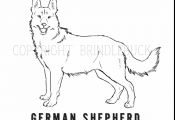 German Shepherd Puppy Coloring Pages German Shepherd Puppy Coloring Pages