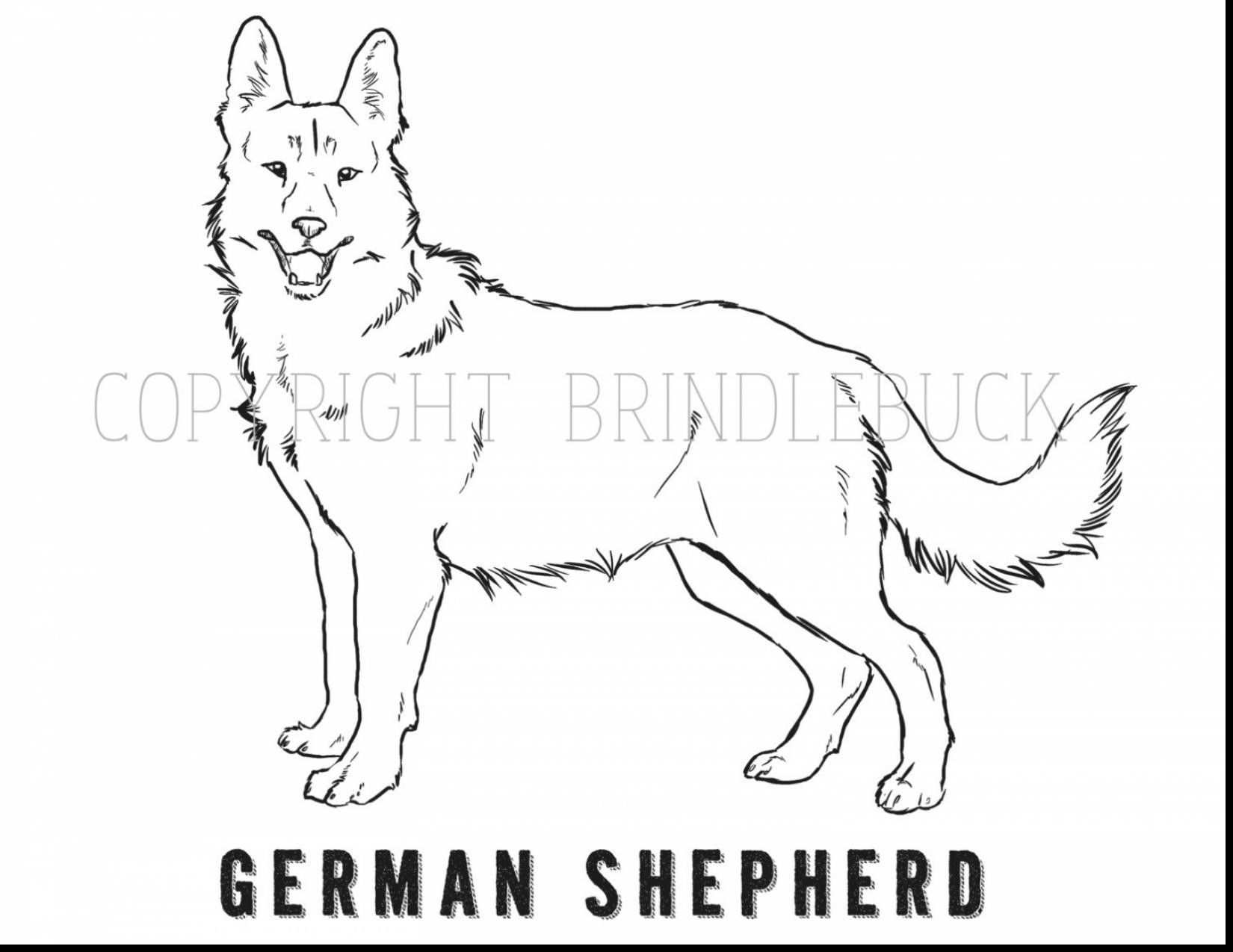 German Shepherd Puppy Coloring Pages Wallpaper