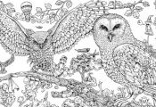Hard Coloring Pages Of Animals Hard Coloring Pages Of Animals